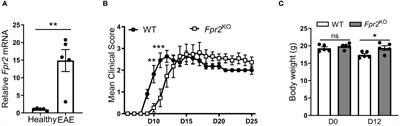 Formyl peptide receptor 2 regulates dendritic cell metabolism and Th17 cell differentiation during neuroinflammation